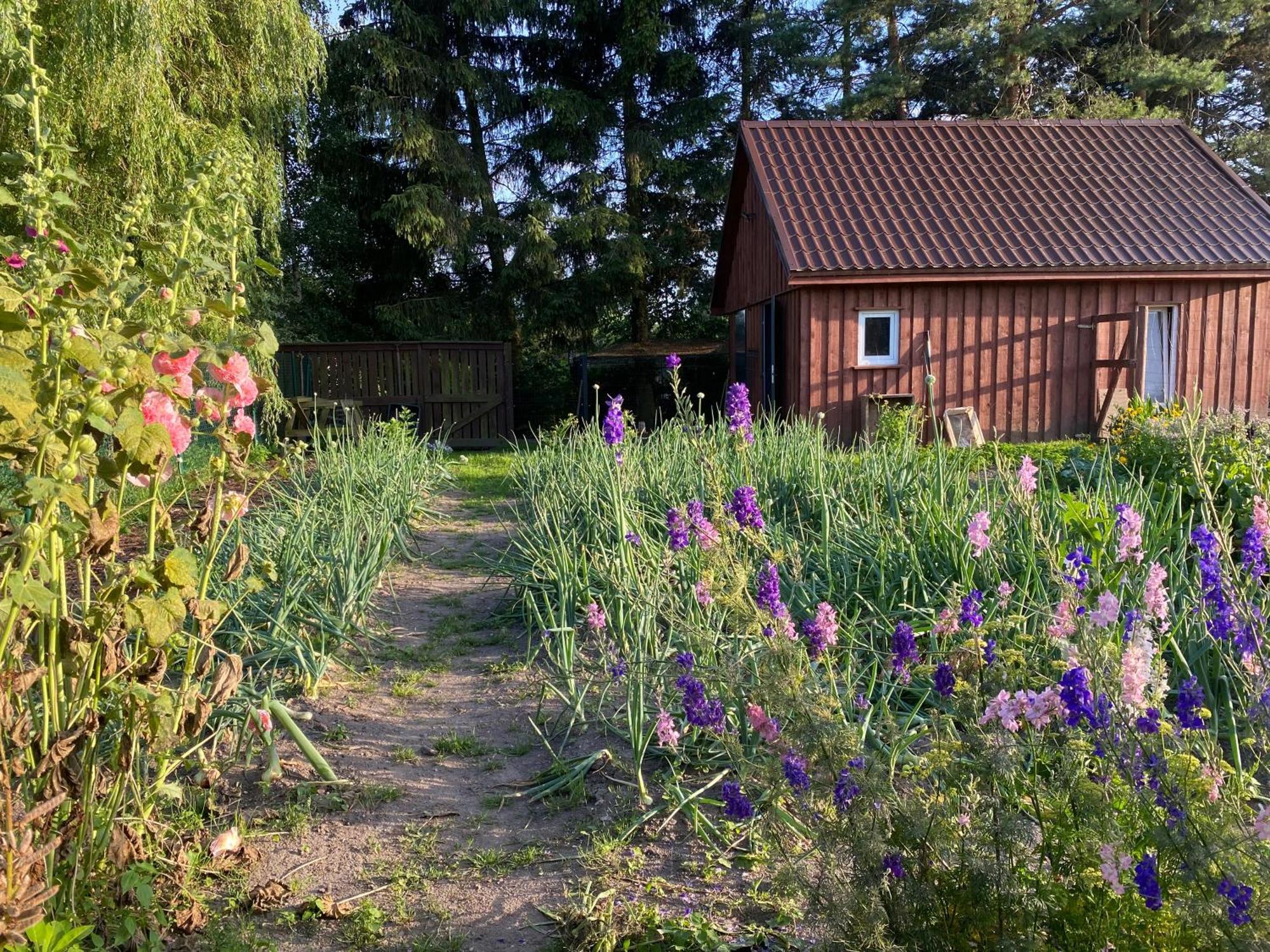 Agroturystyka Omelia Człuchów Exterior foto