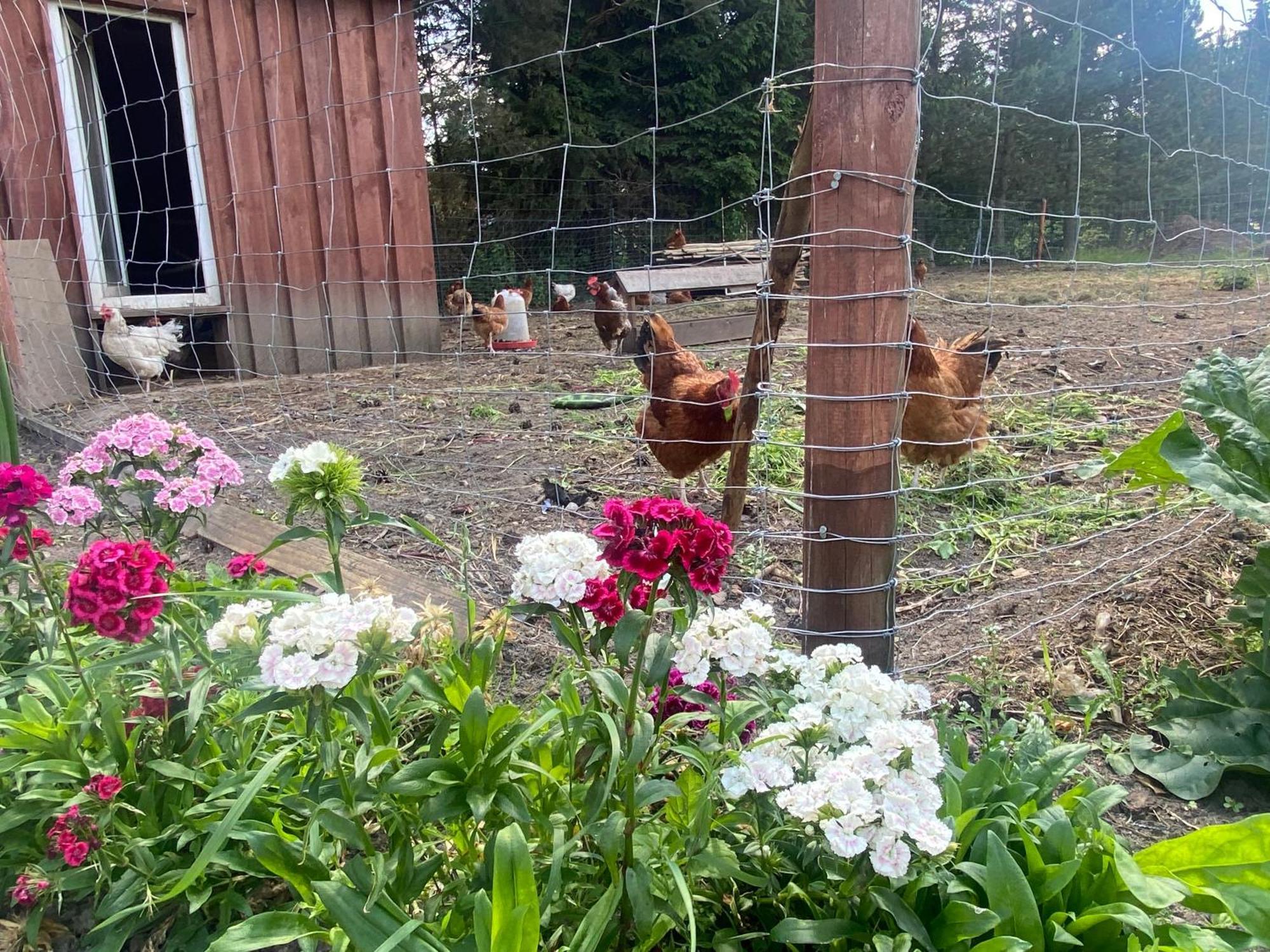 Agroturystyka Omelia Człuchów Exterior foto
